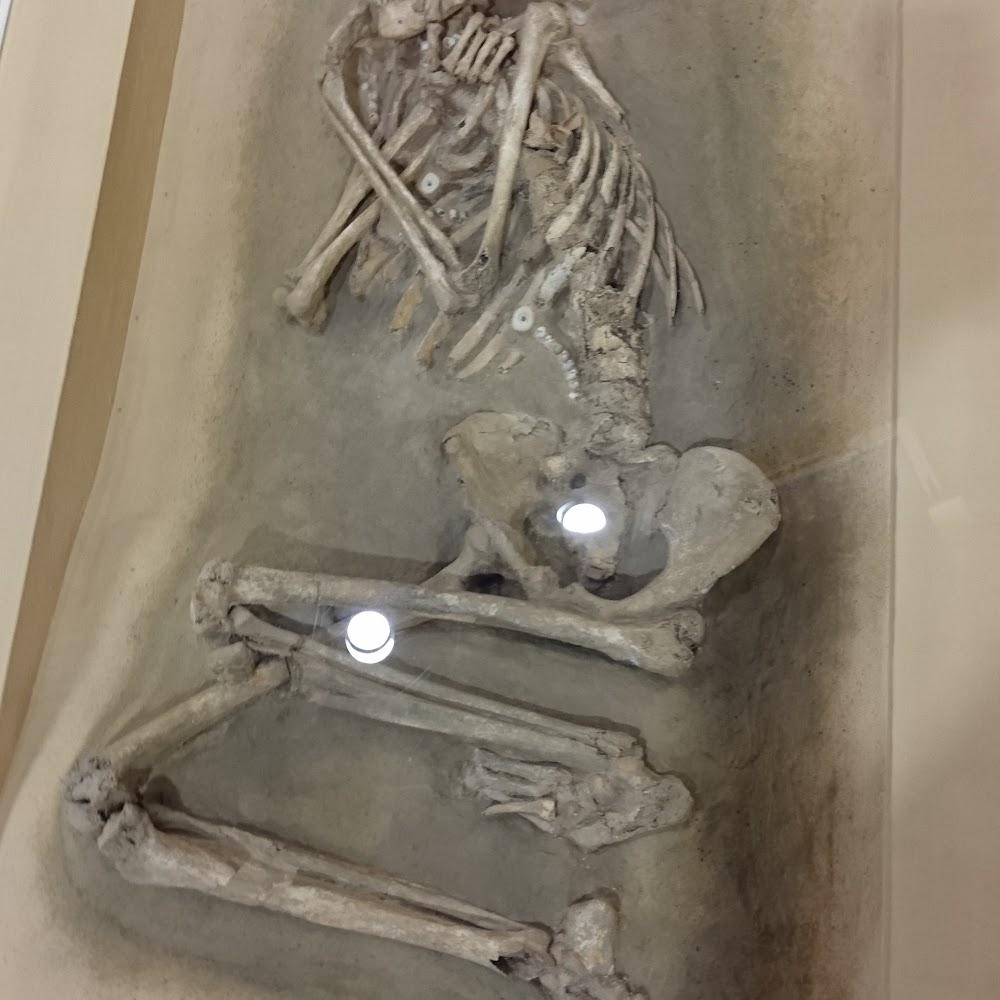 Skeleton of a human in fetal position.
